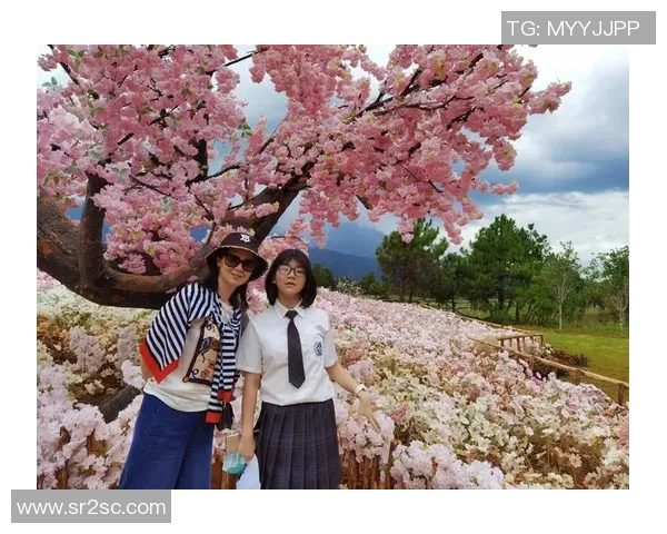 旅行青蛙中国之旅探索国风之美与文化魅力的奇妙旅程