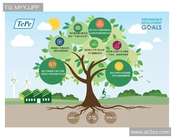 碳碳岛的减排之路探索可持续发展的机遇与面临的挑战 碳碳岛的减排之路探索可持续发展的机遇与面临的挑战